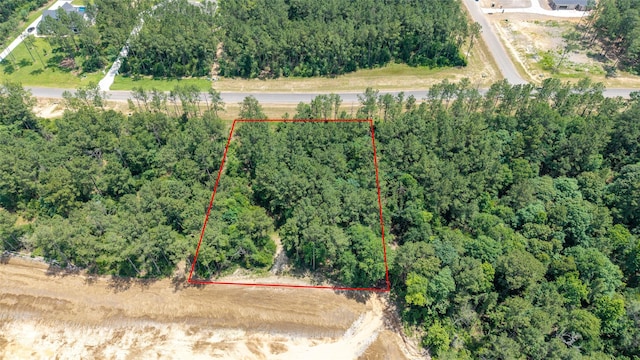 15981 Four Hills Rd, Willis, TX 77378