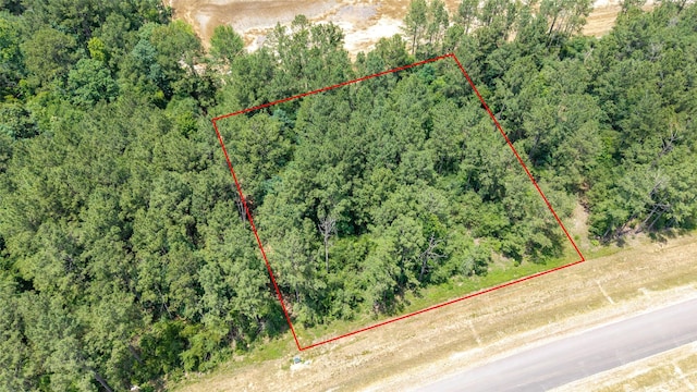 15981 Four Hills Rd, Willis, TX 77378