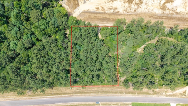 15981 Four Hills Rd, Willis, TX 77378