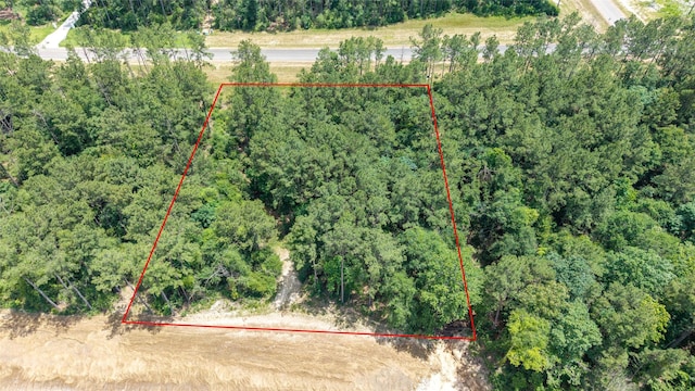 15981 Four Hills Rd, Willis, TX 77378