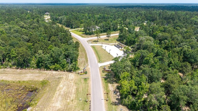 15981 Four Hills Rd, Willis, TX 77378