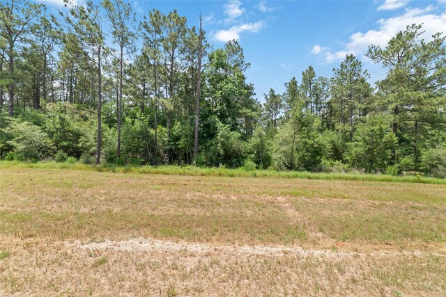 15981 Four Hills Rd, Willis, TX 77378