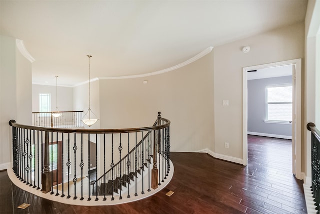 13918 Twisting Ivy Ln, Cypress, TX 77429 - corridor featuring an upstairs landing, wood finished floors, ornamental molding, and baseboards