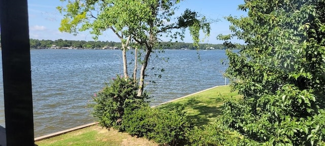 15088 Cozy Cove Ln, Willis, TX 77318 - water view
