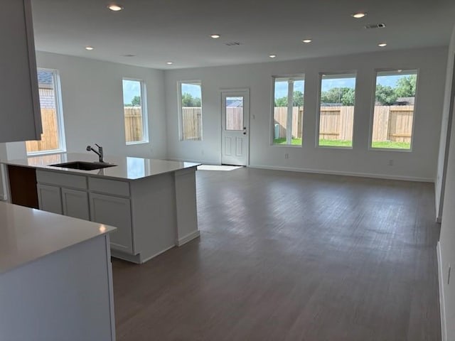 419 Robin St, Angleton, TX 77515 - kitchen featuring a sink, wood finished floors, baseboards, and recessed lighting