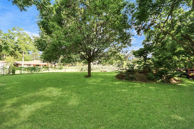25203 Lakeview Rd, Katy, TX 77494 - view of green lawn