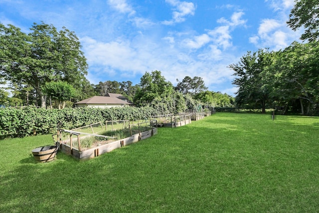 25203 Lakeview Rd, Katy, TX 77494 - view of grassy yard featuring a garden and view of scattered trees