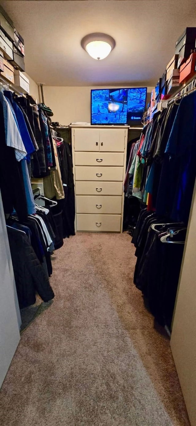 1 Lazy Ln, Bay City, TX 77414 - walk in closet featuring carpet floors