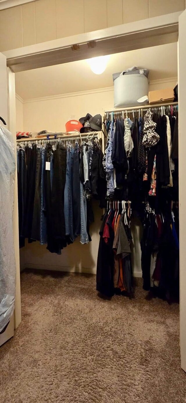 1 Lazy Ln, Bay City, TX 77414 - spacious closet featuring carpet