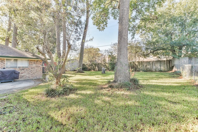 1805 Twila Ln, Conroe, TX 77301 - view of yard