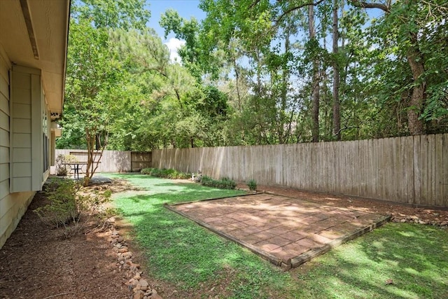 30 Teak Mill Pl, The Woodlands, TX 77382 - view of yard with a patio area
