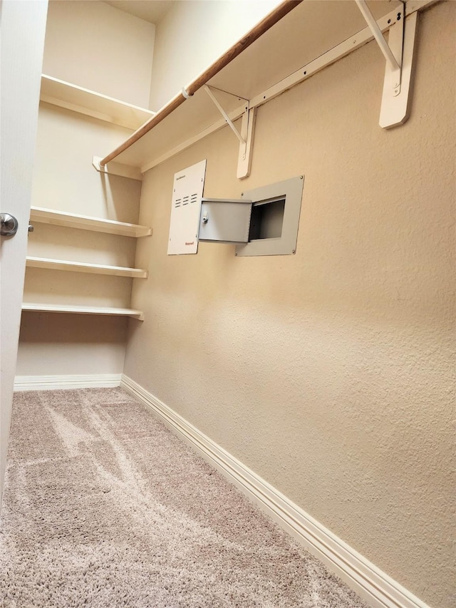 723 Hinsdale, Magnolia, TX 77354 - spacious closet featuring carpet floors