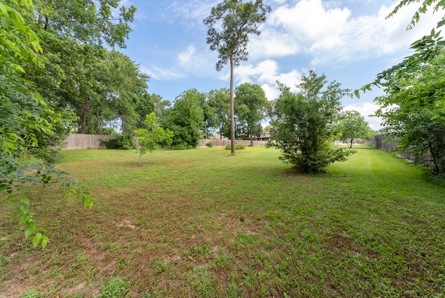 13310 Hidden Manor Ct, Willis, TX 77318 - photo 44