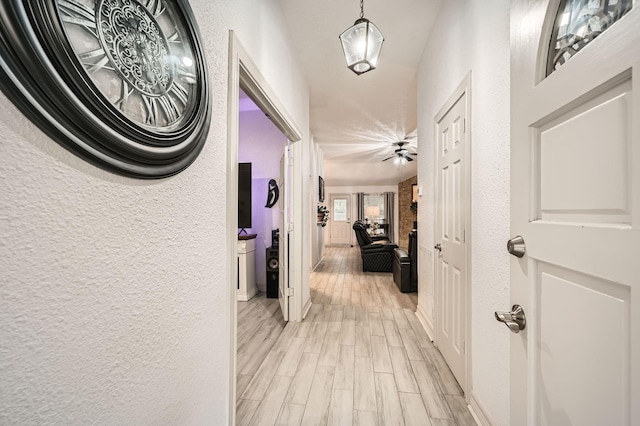3106 Village Springs Ct, Houston, TX 77339 - hall with a textured wall, light wood-style floors, and baseboards