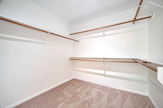 2130 Avenida La Quinta St, Houston, TX 77077 - walk in closet with carpet flooring