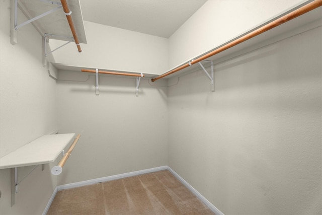 11410 Dahlia Dale Dr, Tomball, TX 77375 - walk in closet featuring carpet