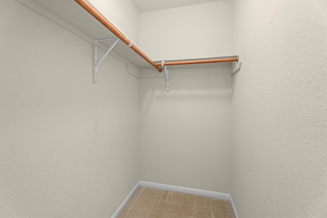 11410 Dahlia Dale Dr, Tomball, TX 77375 - spacious closet with light carpet