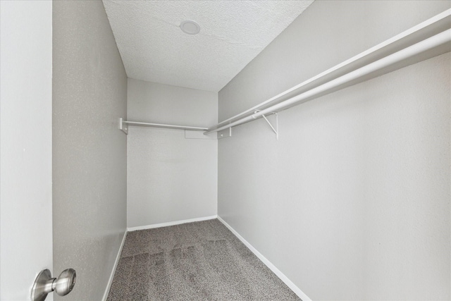 3754 Tanglewilde St N Unit C3, Houston, TX 77063 - spacious closet with carpet flooring