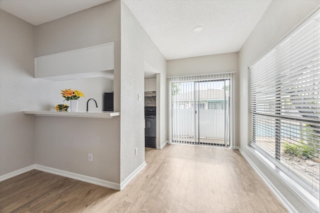 3754 Tanglewilde St N Unit C3, Houston, TX 77063 - empty room with wood finished floors, plenty of natural light, and baseboards