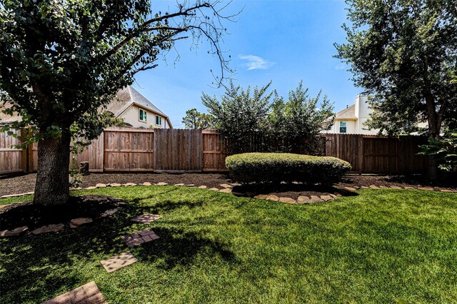 17935 Western Pass Ln, Houston, TX 77095 - view of yard