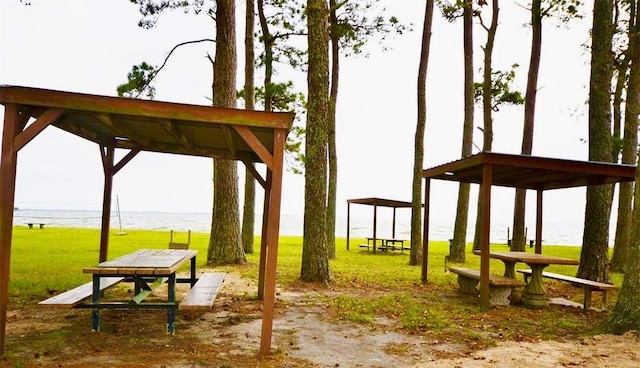 189 W Lakeview Wood, Onalaska, TX 77360 - surrounding community with a water view and a yard