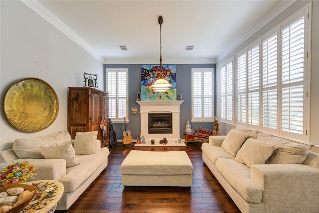 62 W Mirror Ridge Cir, The Woodlands, TX 77382 - living area with dark wood-style flooring, ornamental molding, and a glass covered fireplace
