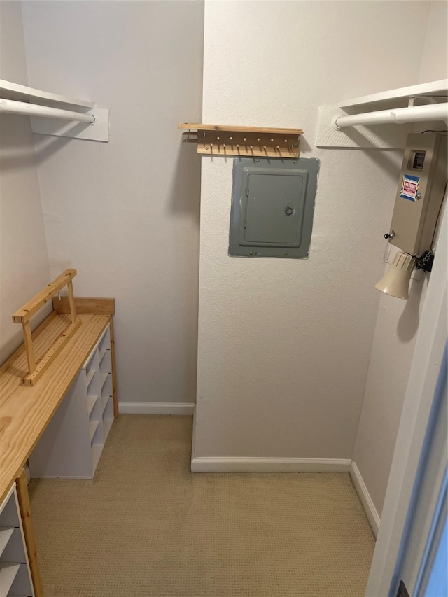 7950 N Stadium Dr Unit 132, Houston, TX 77030 - spacious closet with electric panel and carpet floors