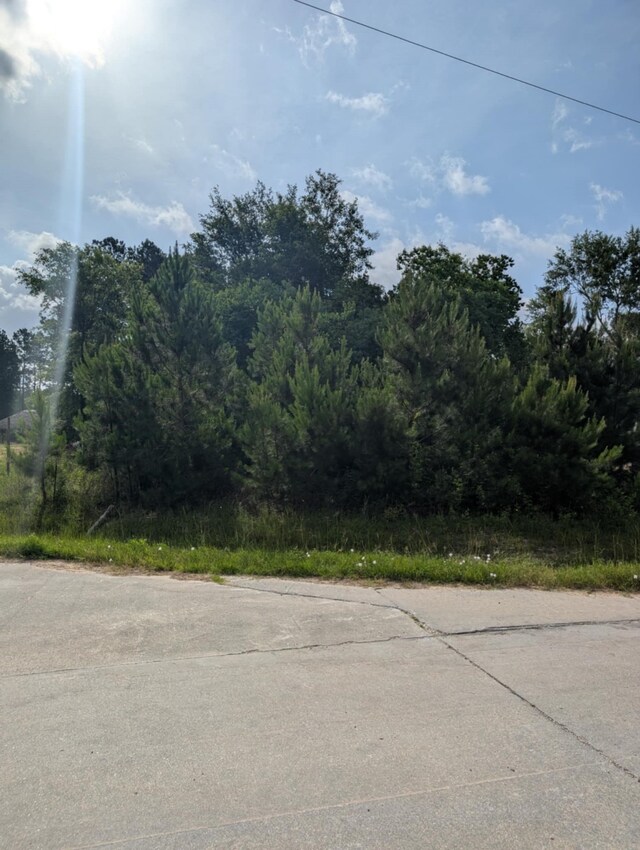 154 County Road 5008, Cleveland, TX 77327 - photo 8