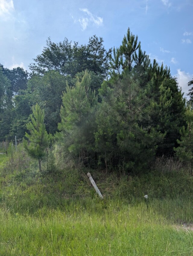 154 County Road 5008, Cleveland, TX 77327 - photo 5