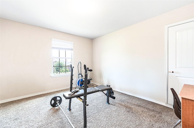 18110 Tenasserim Pine Trce, Richmond, TX 77407 - workout area featuring carpet floors and baseboards