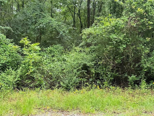TRACTB Lake Rd, Riverside, TX 77320