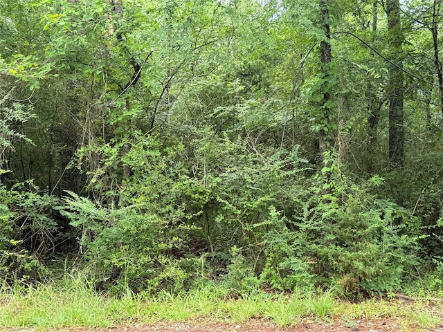 TRACTB Lake Rd, Riverside, TX 77320