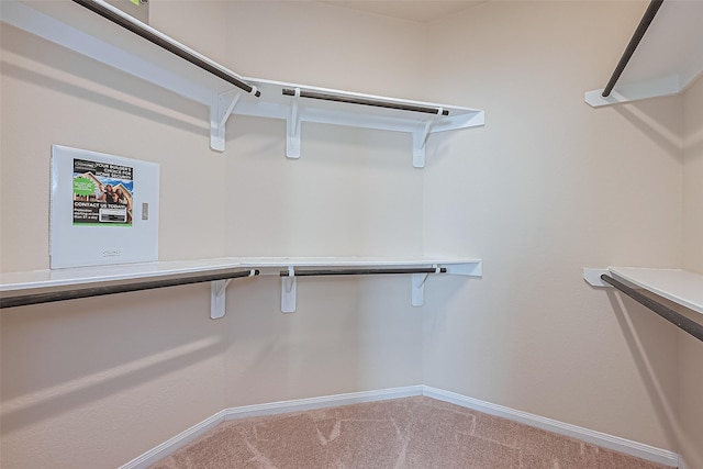 13513 Palo Lake Ln, Houston, TX 77044 - spacious closet featuring carpet floors