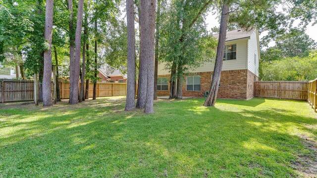 20703 Emerald Spruce Ct, Kingwood, TX 77346 - view of yard