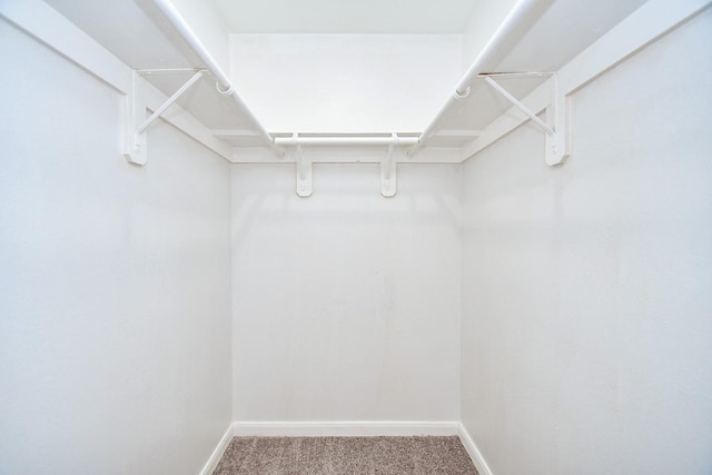 10100 S Gessner Rd Unit 308, Houston, TX 77071 - walk in closet with carpet floors