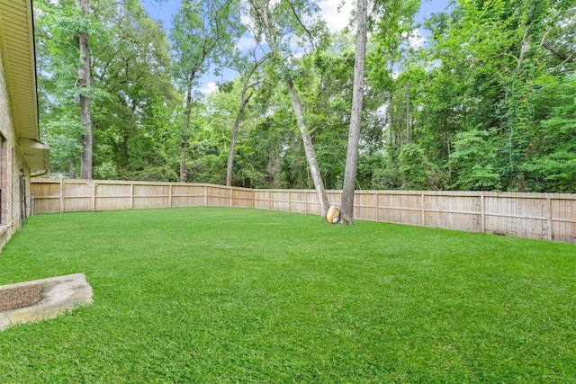103 Whippoorwill Dr, Livingston, TX 77351 - view of yard
