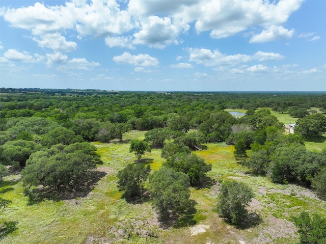 4601 Fm 390 E, Brenham, TX 77833