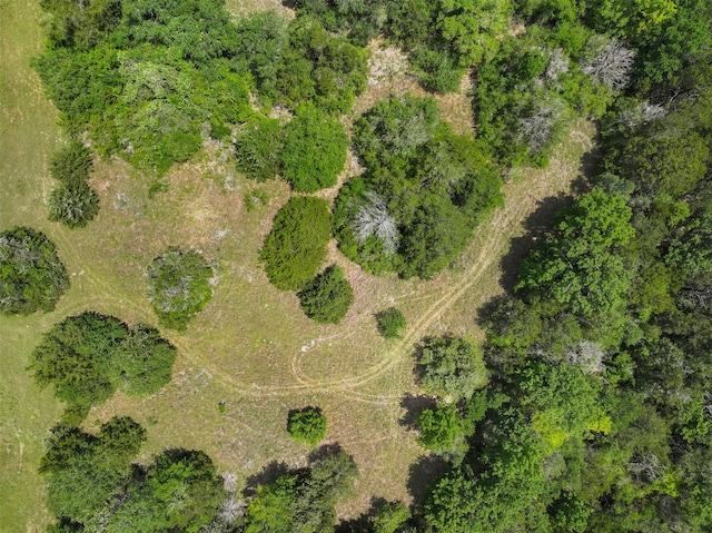 4601 Fm 390 E, Brenham, TX 77833