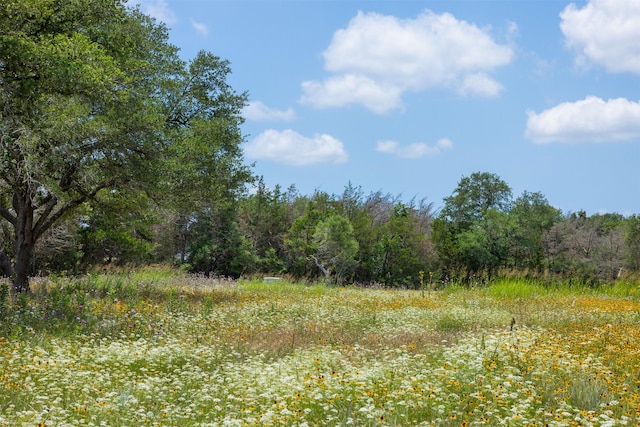 4601 Fm 390 E, Brenham, TX 77833