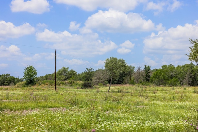 4601 Fm 390 E, Brenham, TX 77833