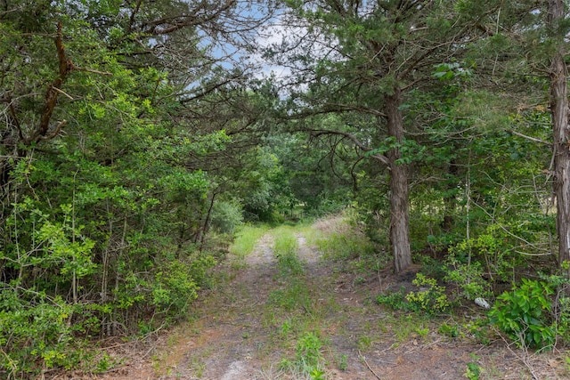 4601 Fm 390 E, Brenham, TX 77833