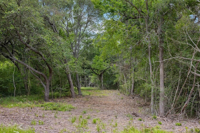 4601 Fm 390 E, Brenham, TX 77833