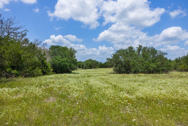 4601 Fm 390 E, Brenham, TX 77833