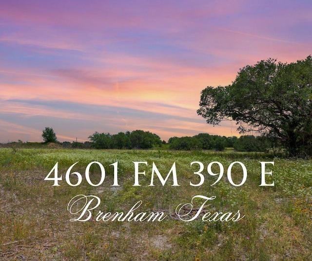4601 Fm 390 E, Brenham, TX 77833