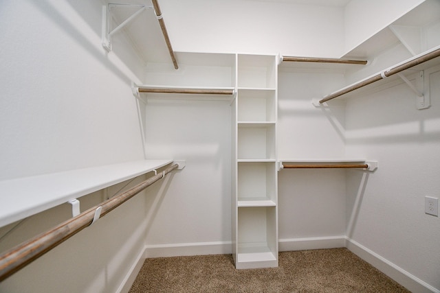 6718 Utah St, Houston, TX 77091 - walk in closet featuring carpet floors