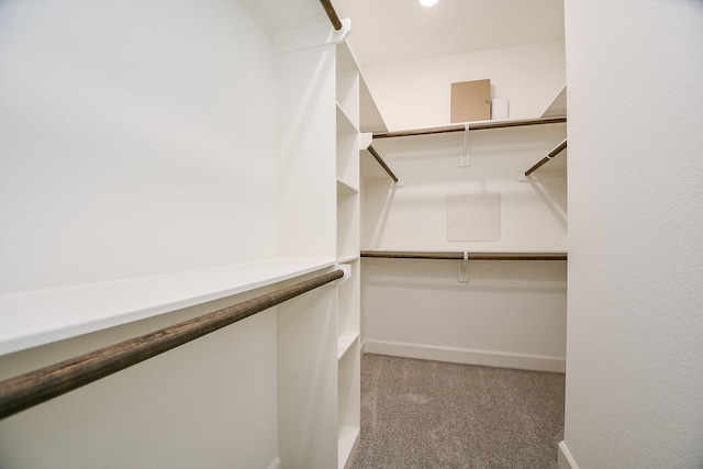 6727 Utah St, Houston, TX 77091 - spacious closet with carpet