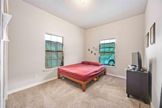 1206 Dewalt St, Houston, TX 77088 - bedroom with light carpet, baseboards, and a textured ceiling