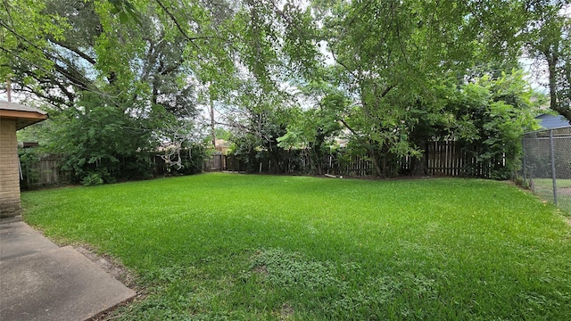 3823 Regency Dr, Houston, TX 77045 - view of yard