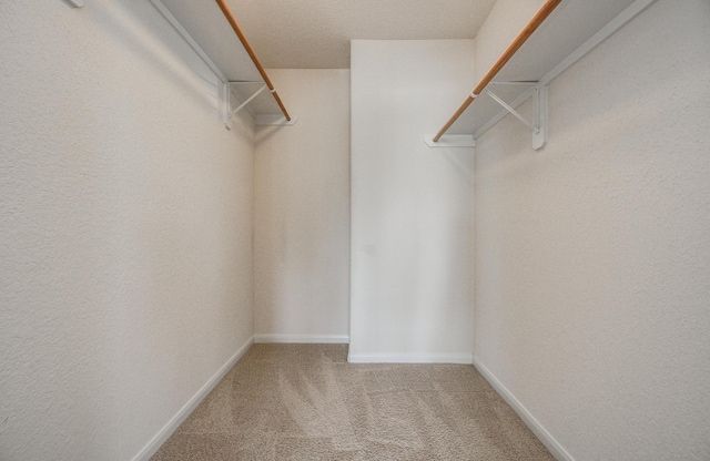 17919 Royal Gate Ln, Richmond, TX 77407 - spacious closet with carpet flooring