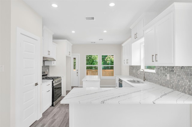 8022 Yoe St, Houston, TX 77078 - kitchen with appliances with stainless steel finishes, a sink, under cabinet range hood, light stone counters, and decorative backsplash